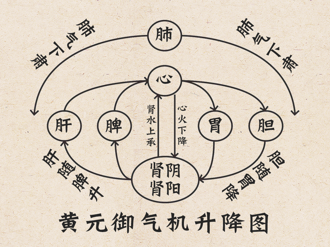 手上1穴和脚上1穴，主一身气血！每天揉2分钟，调一身疼痛、郁气(图5)