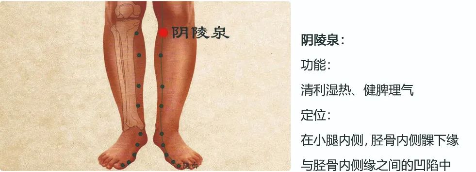 今日入伏！接下来的40天，养生做到这2个字，阳气足了，湿气没了，身体更棒了(图8)