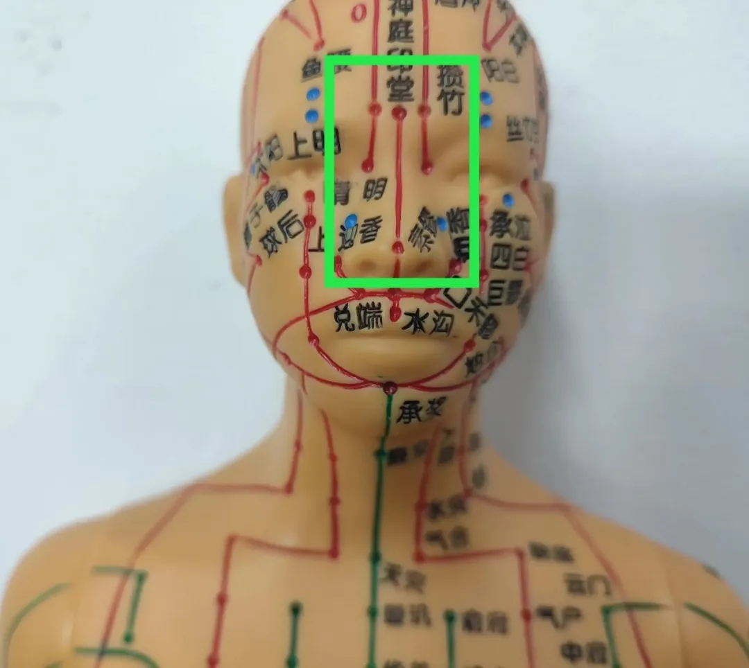 睡前黄金4搓，每次30下，调五脏助睡眠，气色好了、血压稳了、白发都少了！(图7)