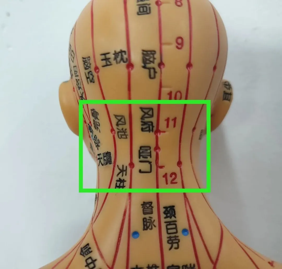 睡前黄金4搓，每次30下，调五脏助睡眠，气色好了、血压稳了、白发都少了！(图13)