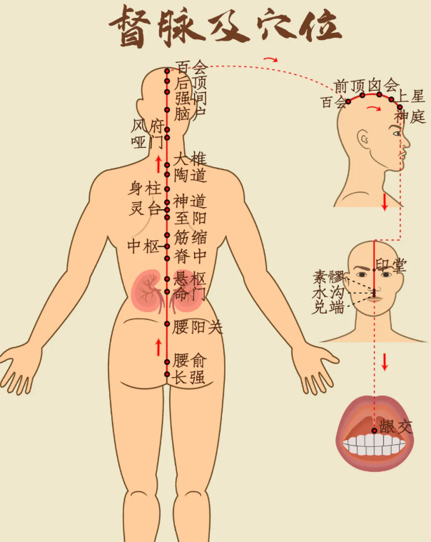 大暑接中伏，湿热交加！灸透督脉、吃对两物，安五脏、扶正气、祛暑气(图6)